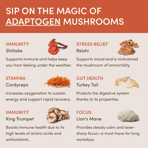 Ultimate Elevate + Unwind Bundle 1