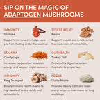 Mushroom Coffee (90 Servings)